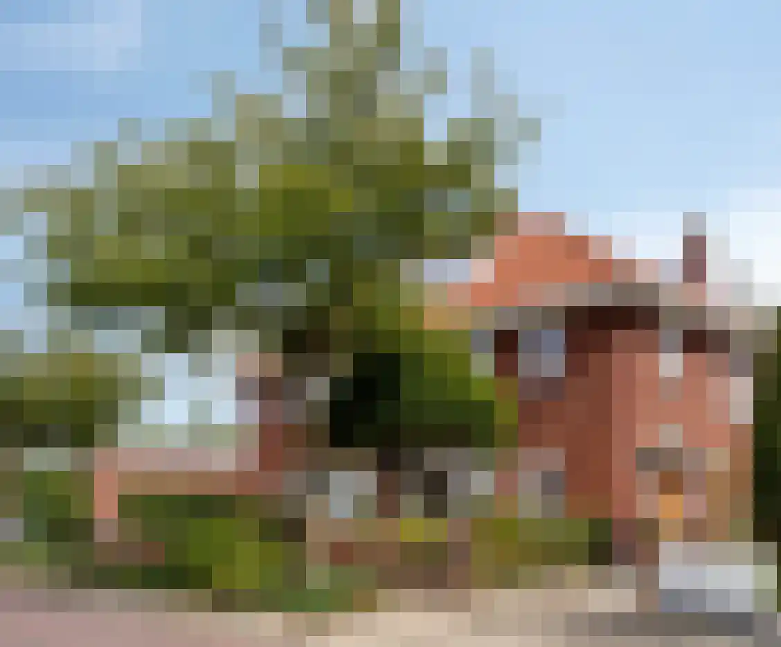Javastraat 24 Winterswijk