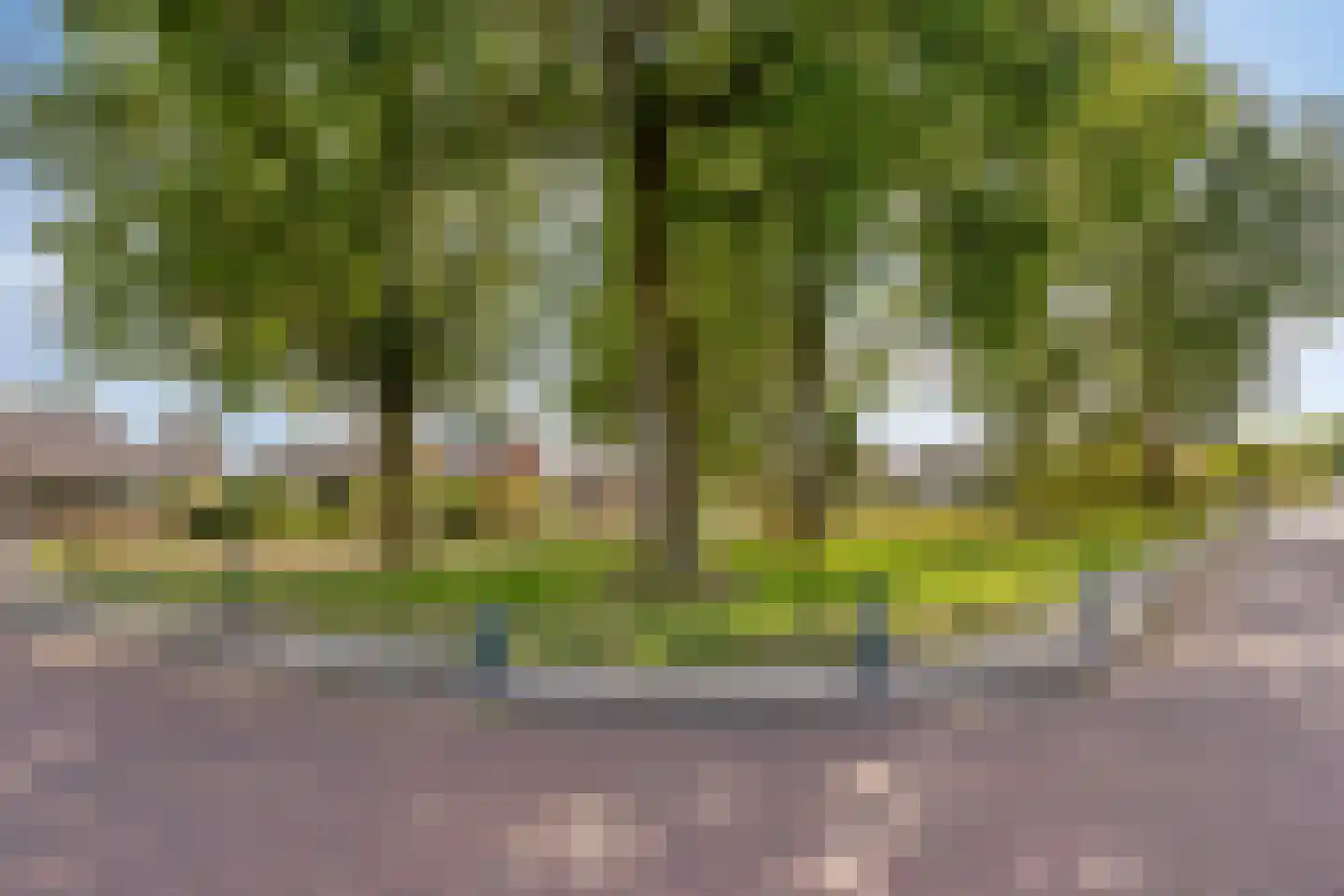Javastraat 24 Winterswijk thumbnail 53