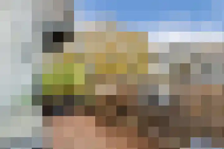 Javastraat 25 3 Amsterdam thumbnail 12