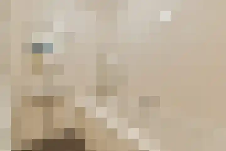 Javastraat 25 3 Amsterdam thumbnail 14
