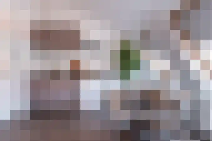 Javastraat 30 D Utrecht thumbnail 7