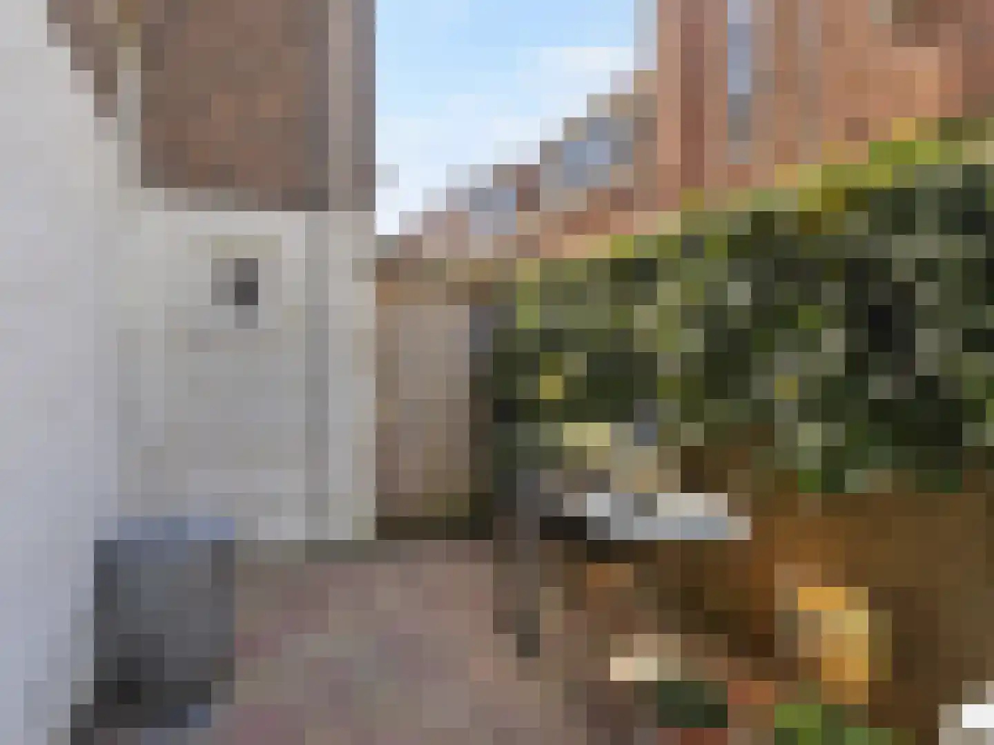 Javastraat 31 Utrecht thumbnail 17