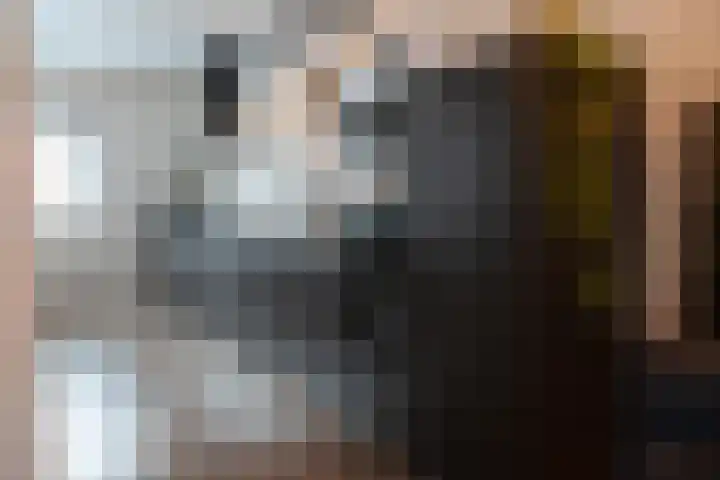 Javastraat 32 Arnhem thumbnail 4
