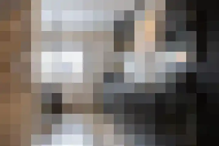 Javastraat 32 Arnhem thumbnail 5