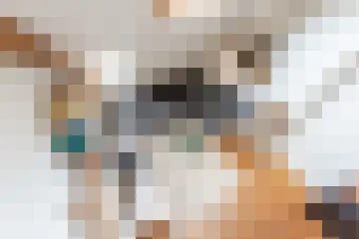 Javastraat 32 BS Utrecht thumbnail 26