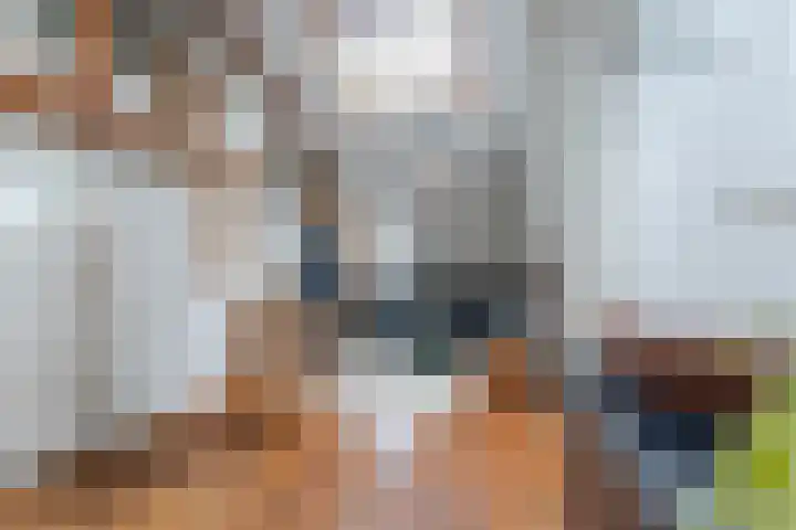 Javastraat 32 BS Utrecht thumbnail 33