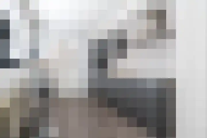 Javastraat 32 Tilburg thumbnail 10