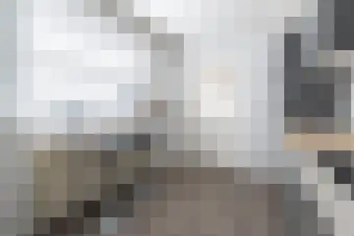 Javastraat 32 Tilburg thumbnail 11