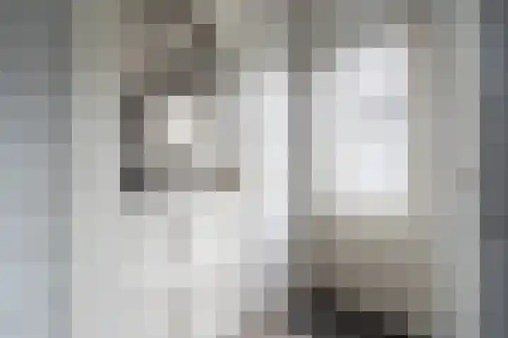 Javastraat 32 Tilburg thumbnail 14