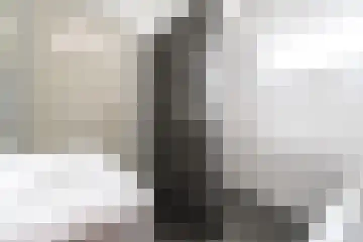 Javastraat 32 Tilburg thumbnail 17