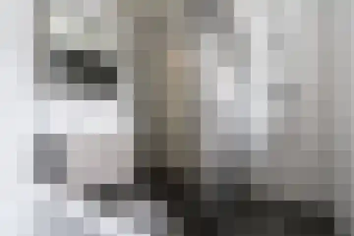 Javastraat 32 Tilburg thumbnail 18