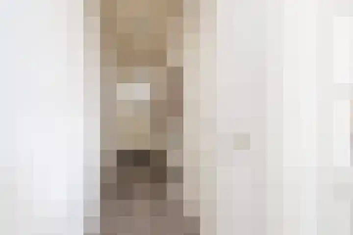Javastraat 32 Tilburg thumbnail 20