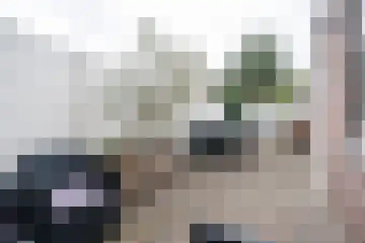 Javastraat 32 Tilburg thumbnail 22