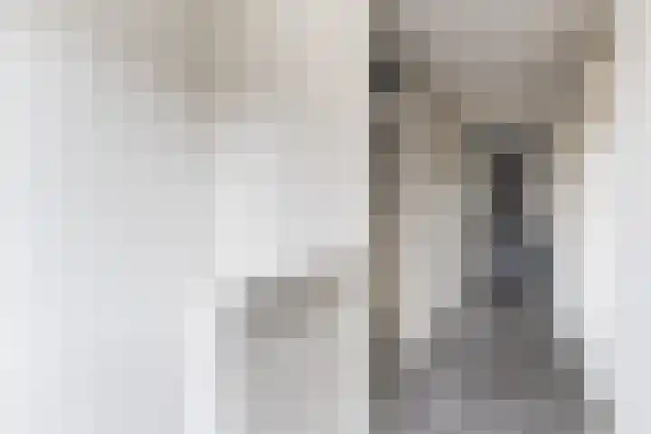 Javastraat 32 Tilburg thumbnail 24
