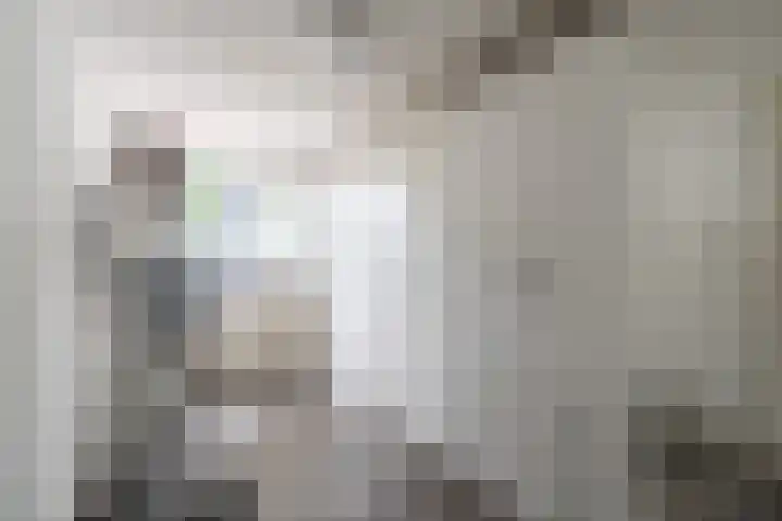 Javastraat 32 Tilburg thumbnail 28