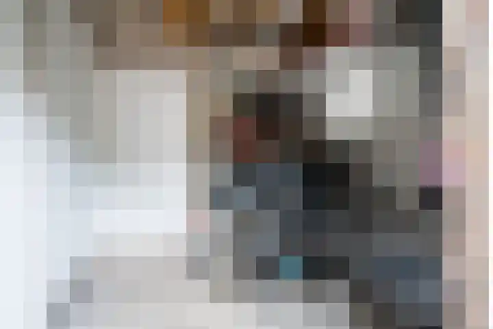 Javastraat 32 Tilburg thumbnail 40