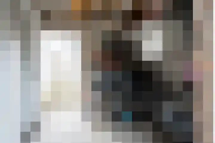 Javastraat 32 Tilburg thumbnail 41