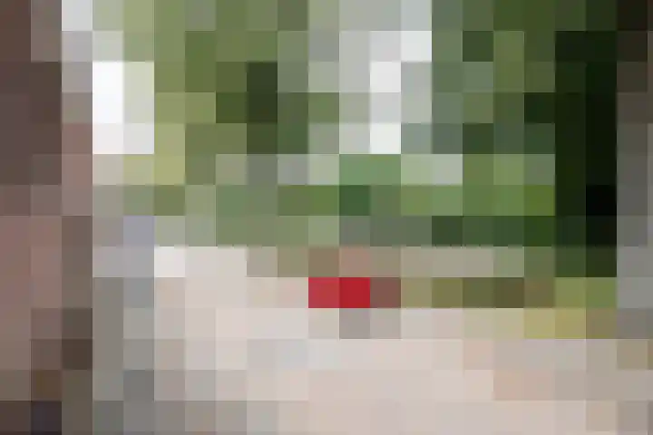 Javastraat 32 Tilburg thumbnail 45