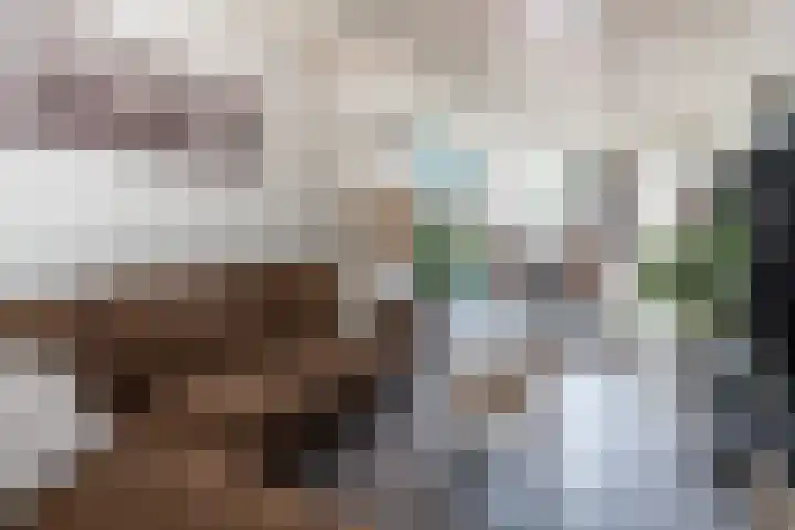 Javastraat 32 Tilburg thumbnail 5