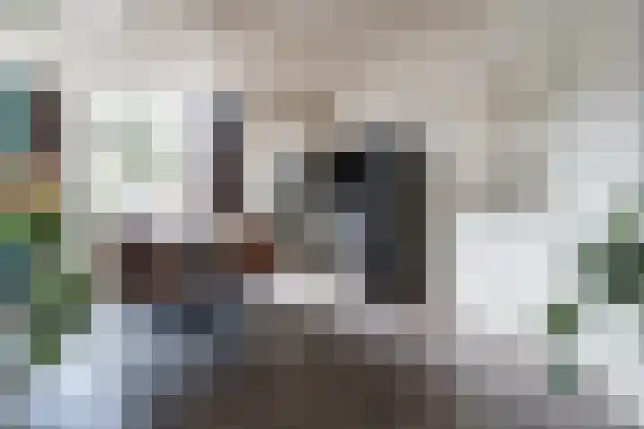 Javastraat 32 Tilburg thumbnail 7