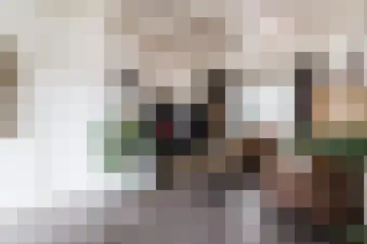 Javastraat 32 Tilburg thumbnail 8