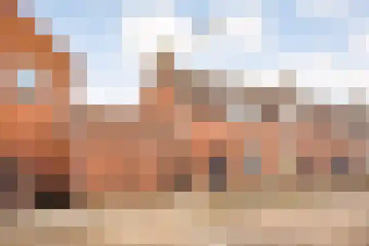 Javastraat 32 Zwolle thumbnail 28
