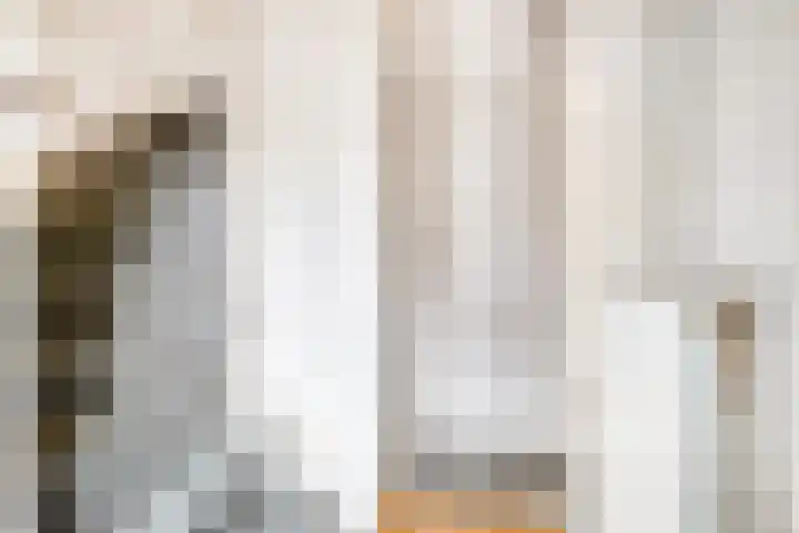 Javastraat 32 Zwolle thumbnail 5