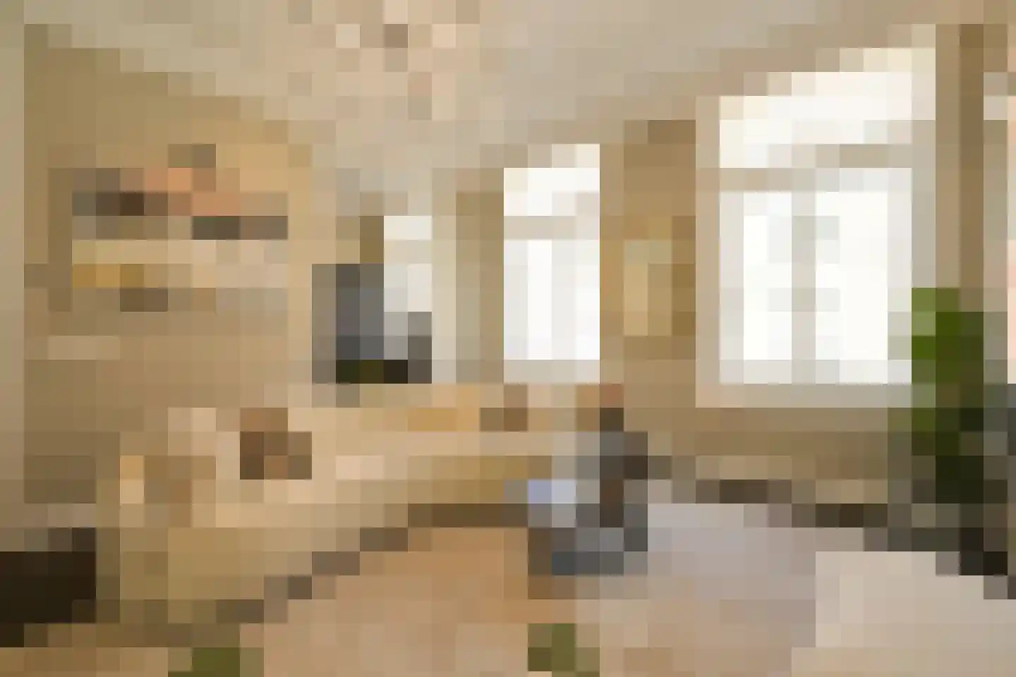 Javastraat 33 Den Haag thumbnail 11