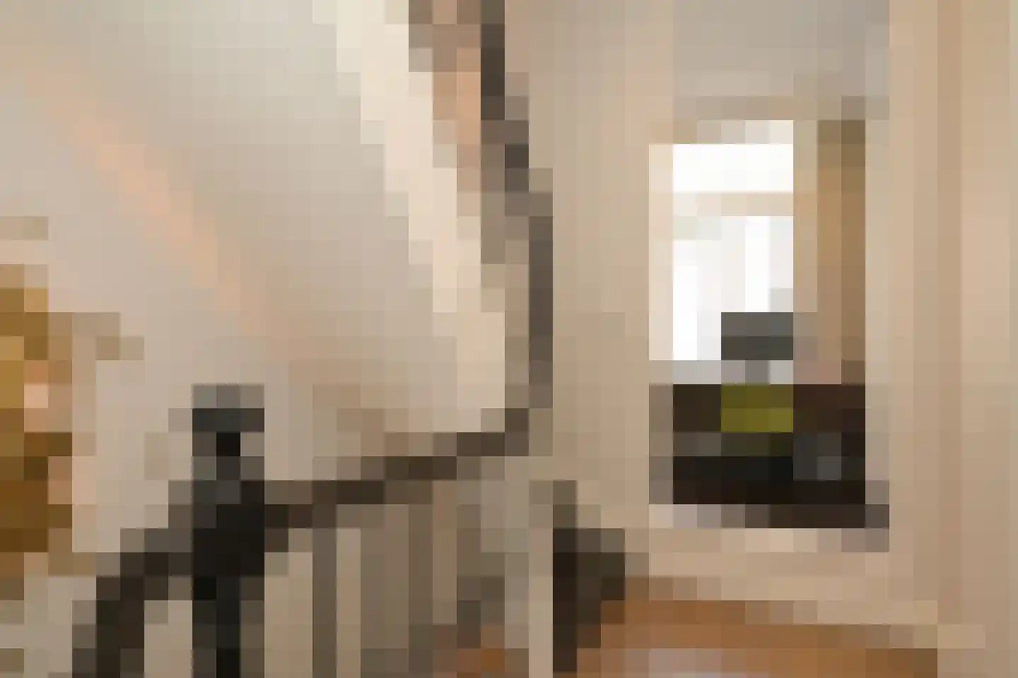 Javastraat 33 Den Haag thumbnail 8
