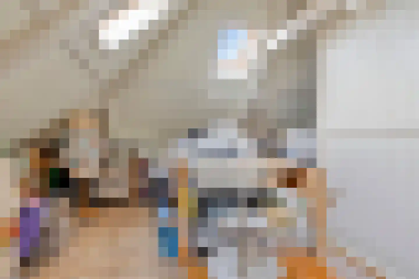Javastraat 33 Winterswijk thumbnail 38