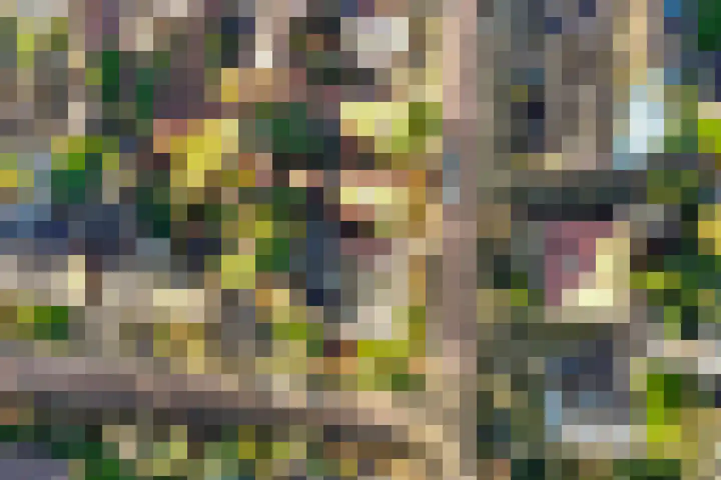 Javastraat 33 Winterswijk thumbnail 46