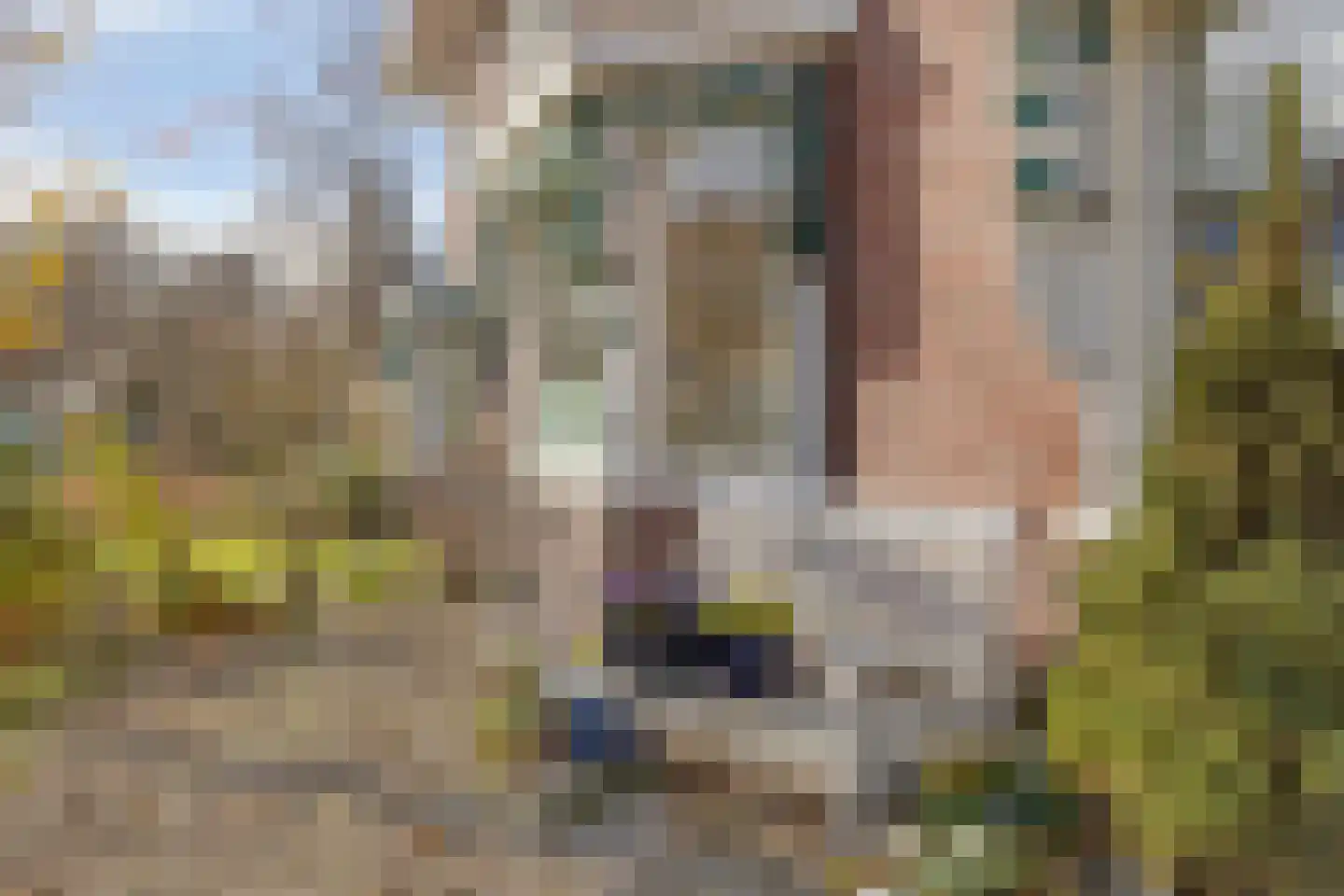 Javastraat 33 Winterswijk thumbnail 7