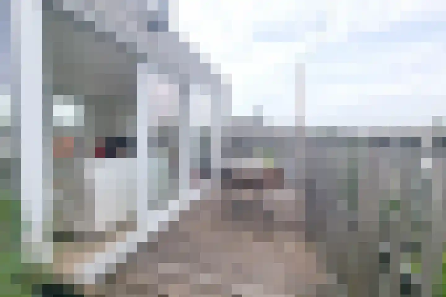 Javastraat 35 3 Amsterdam thumbnail 20
