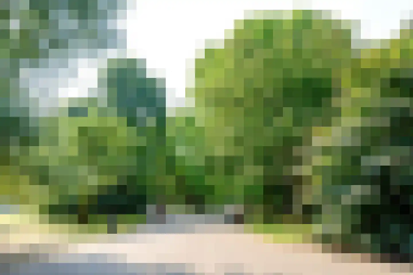 Javastraat 35 3 Amsterdam thumbnail 30