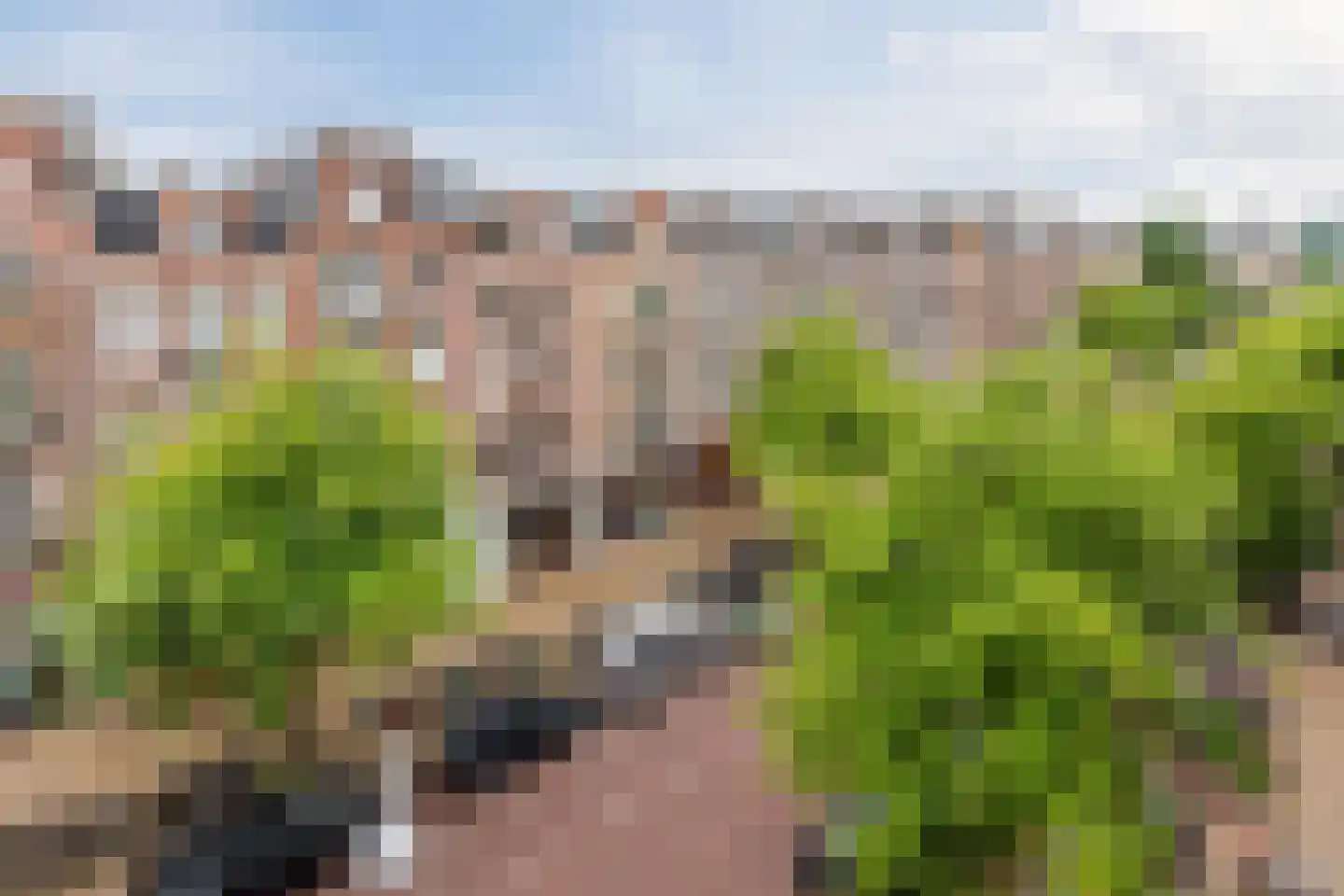Javastraat 35 4 Amsterdam thumbnail 30