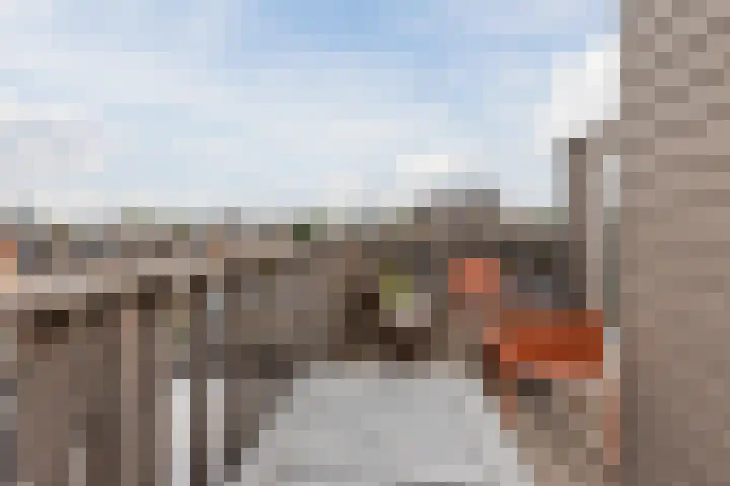 Javastraat 35 4 Amsterdam thumbnail 38