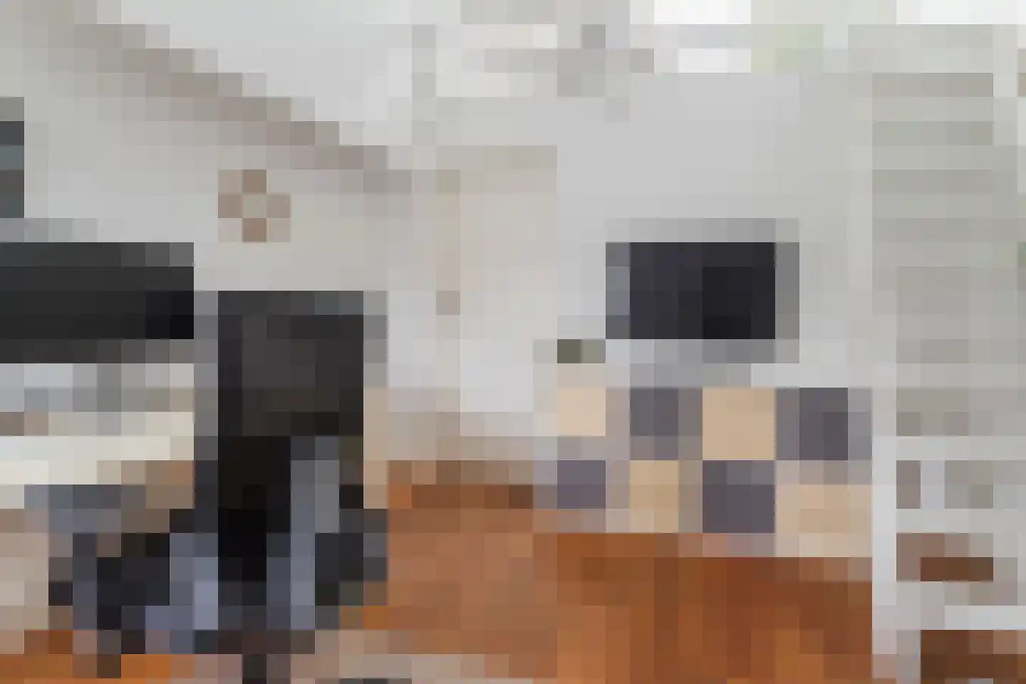 Javastraat 35 BS Utrecht thumbnail 24