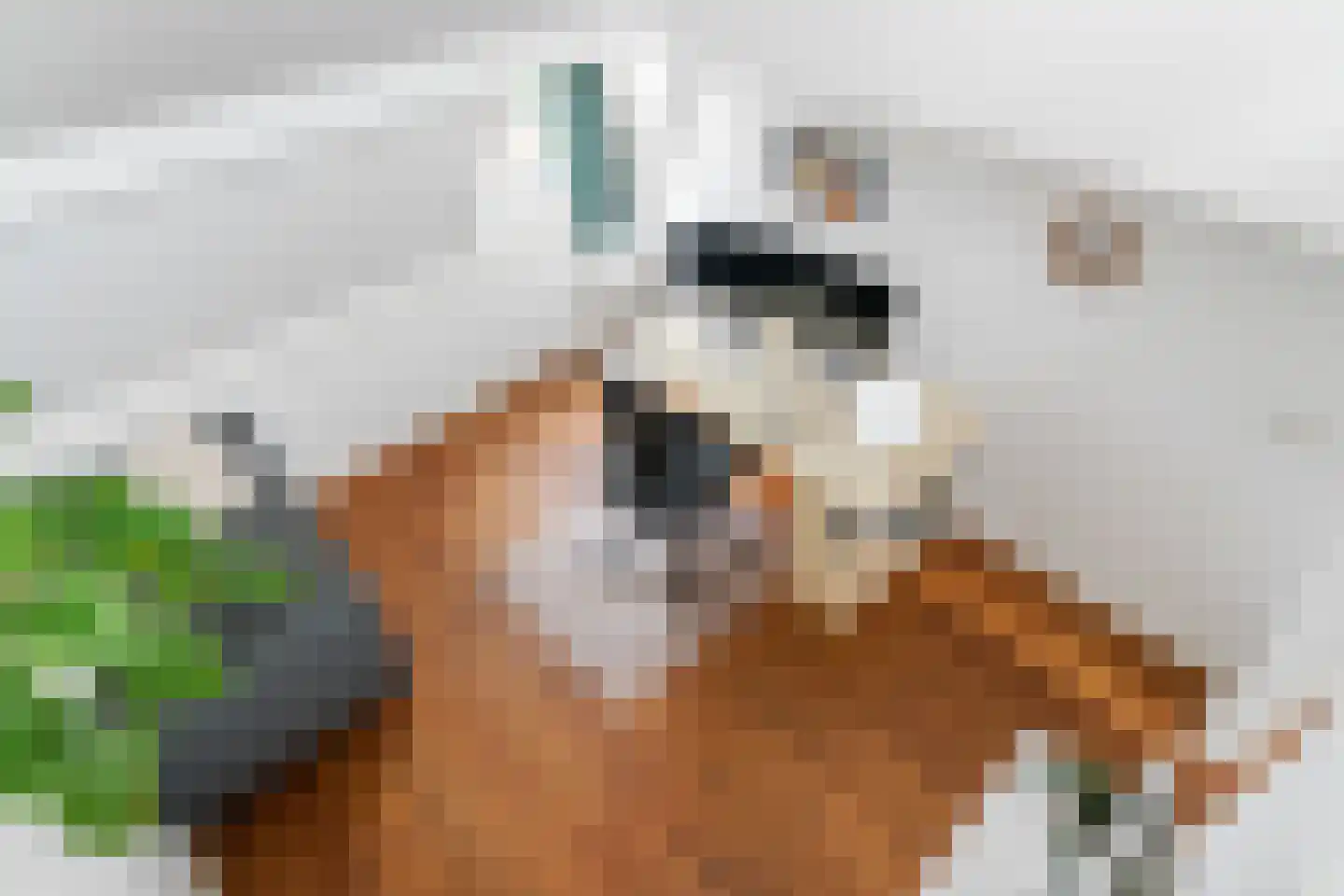 Javastraat 35 BS Utrecht thumbnail 26