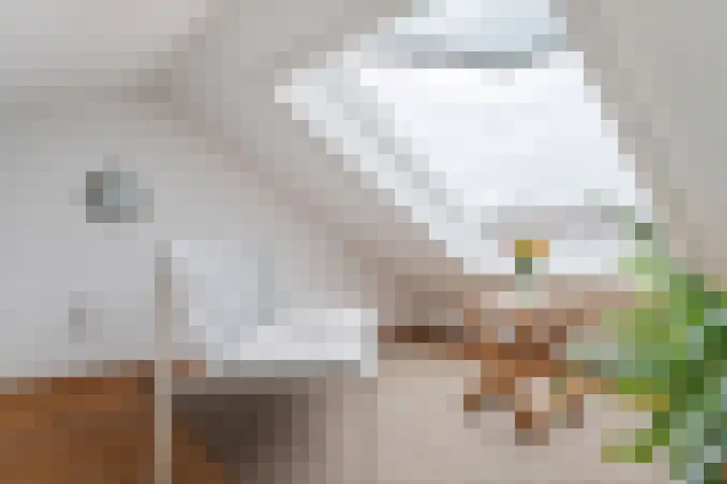 Javastraat 35 BS Utrecht thumbnail 27