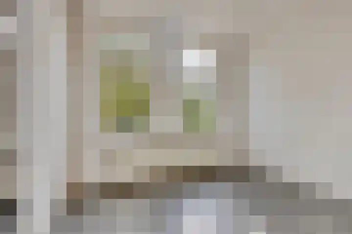 Javastraat 35 Dordrecht thumbnail 15