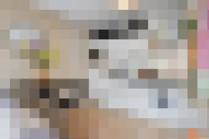Javastraat 36 2V Amsterdam thumbnail 12