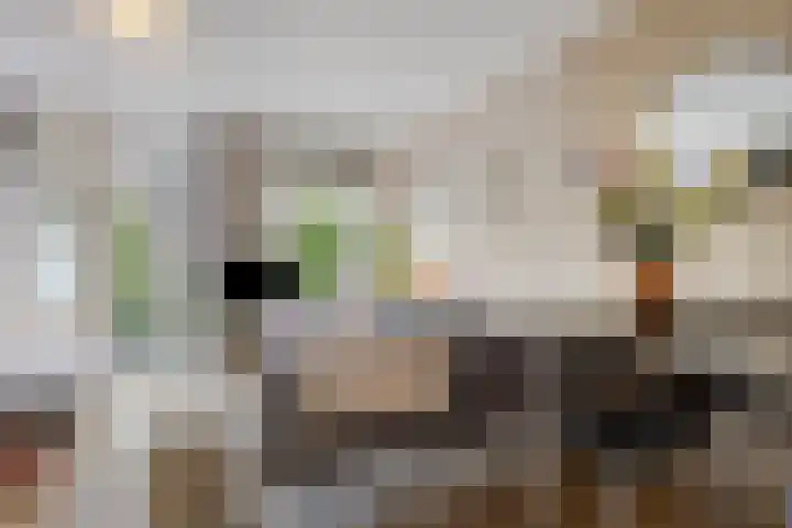 Javastraat 36 2V Amsterdam thumbnail 15