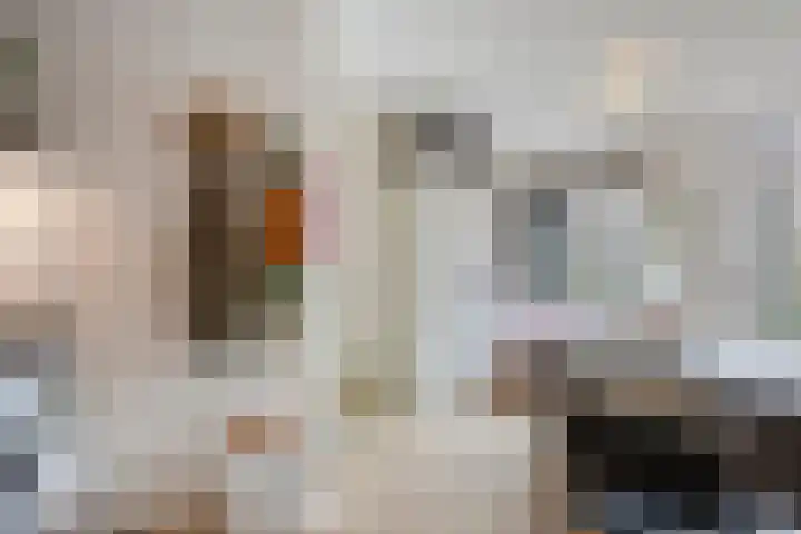 Javastraat 36 2V Amsterdam thumbnail 16