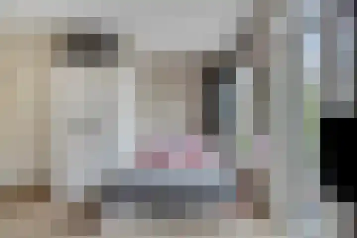 Javastraat 36 2V Amsterdam thumbnail 19