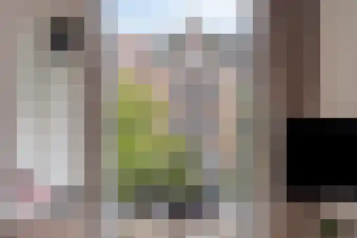 Javastraat 36 2V Amsterdam thumbnail 20