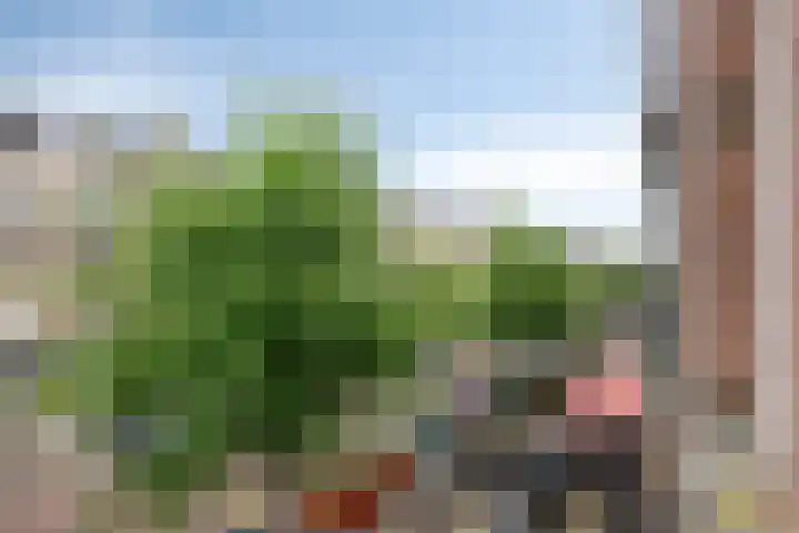 Javastraat 36 2V Amsterdam thumbnail 21