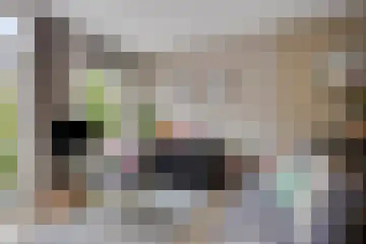 Javastraat 36 2V Amsterdam thumbnail 9