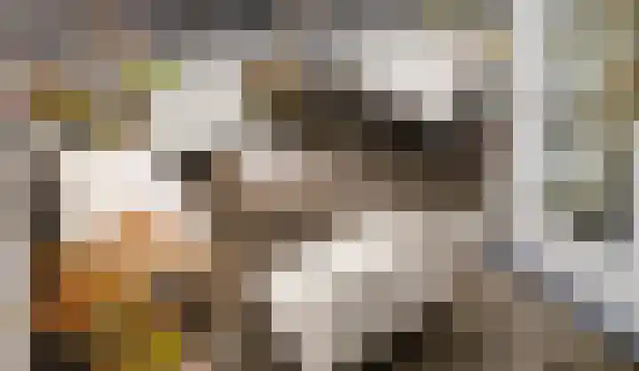 Javastraat 36 4V Amsterdam thumbnail 24