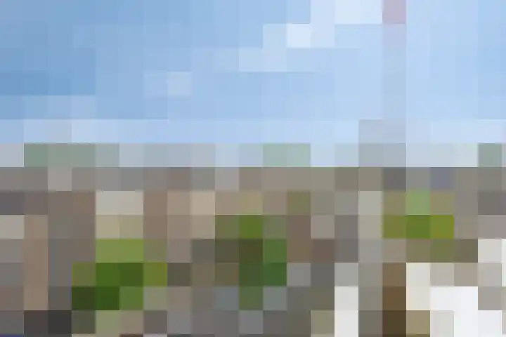 Javastraat 36 4V Amsterdam thumbnail 25
