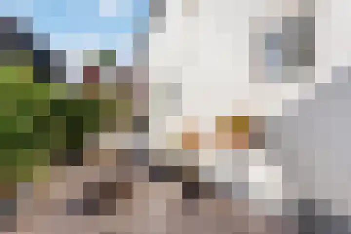 Javastraat 38 Hengelo thumbnail 19